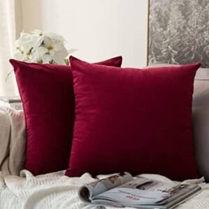 Coussin Décoratif Velours